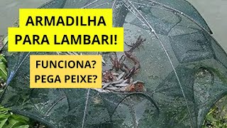 ARMADILHA COVO PEIXE ISCA VIVA LAMBARI