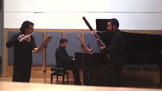 TRIO AD PARNASSUM. Beethoven trio WoO ·37,  Adagio (fragmento).