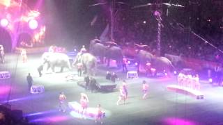 Ringling brother circus