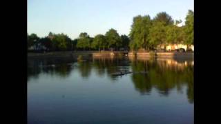 Canal Pond at Rotherhithe London uk