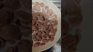 Dutch Mill Mango -Koko Krunch Cereal --Nov 5, 2024 |Goal 1.905K StayConnected & Dont Unsubscribe