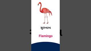 Flamingo meaning in Gujarati - English dictionary