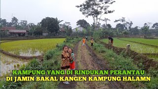 Perantau Pasti Kangen Suasana Kampung  Kangen Masa  Kecil Di Desa Video Ini Mengobati Rasa Rindu