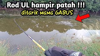 Mancing Gabus || Ultralight Casting Capung 702 || Tambak Sedari