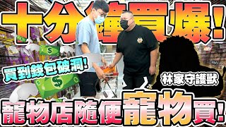 【胡椒】十分鐘買爆！！寵物店隨便寵物買『錢包差點破洞？』