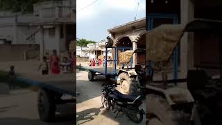 Monkey #shortvideo #ytshortvideo #youtubeshortvideo #Indiashortvideo