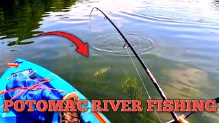 Potomac River Kayak Fishing