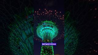 Gardens by the bay in Singapore 🙀 #singapore #garden #tree #supertree