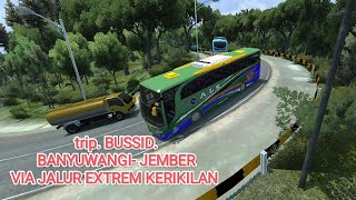 VLOG BUSSID!!!!!    Banyuwangi Jember via jalur extrim KRIKILAN     BUSSID versi 4.0