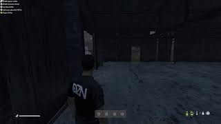 DayZ  საგიჟეთი