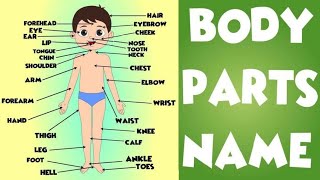 Body Parts Name Hind And English | Human Body Parts Name |