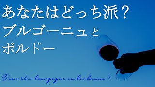 ワインでフランス一周🍷ブルゴーニュとボルドーのワインの違い  ｜歴史と美酒が交差する場所｜誰でも簡単に分かるワイン解説＃7