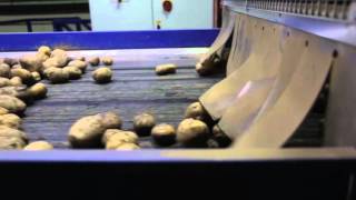 Potato Grading & Handling Line from Tong - Produce World UK