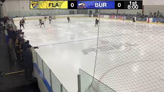 U14AA Flamborough Sabres VS Burlington Eagles Oakville Tournament Game 1