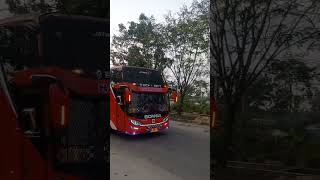 Bus Halmahera SCANIA K360 SE-21 #bushalmehera #shorts #ayonaikbus