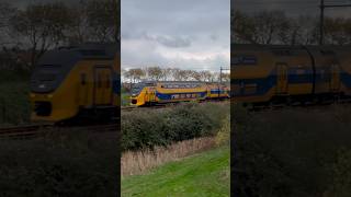 #treinleven #grijzeneusvirm Virm langs Erasmus park Middelburg