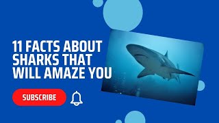 11 Facts about Sharks that will amaze you