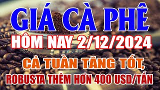 Giá cà phê hôm nay 2/12: cả tuần tăng tốt, Robusta thêm hơn 400 USD/tấn