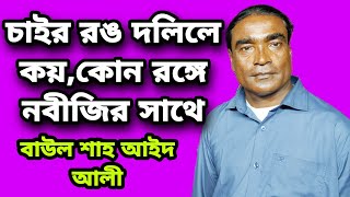 চাইর রঙ দলিলে কয়,কোন রঙ্গে নবীজির সাথে। বাউল শাহ আইদ আলী।Baul shah aid ali.