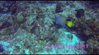 GoPro Filter for scuba in Cozumel 720p