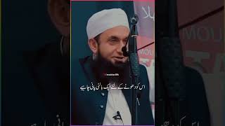 Maulana Tariq jameel