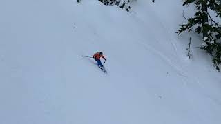 Ski Guide Movement Video