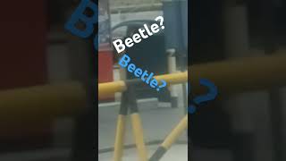 Beetle?