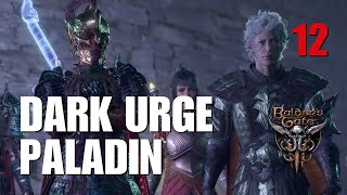 Dark Urge Githyanki Paladin [Difficulty Modded Tactician]: Part 12 - Baldur’s Gate 3