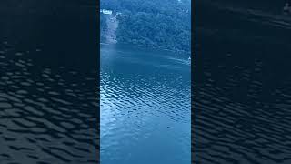 Nani Lake View | Nanital Shorts