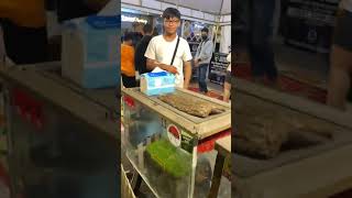 Snake education with rekan rekan animal keeper sampit-borneo❤️ #shorts #fyp #animals #borneo