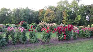 Vilnius Botanical Park