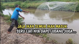 Jala Ikan Di Sungai Banyak Dapat Ikan Belanak || Jaring Ikan || Net Fishing