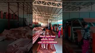 Mesh type face veneer dryer, veneer drying machine