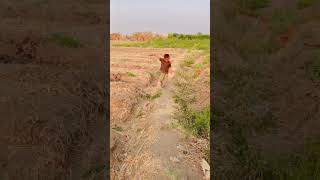 azmi lagi main di sawah temen2