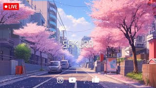 Sakura Lofi 🎵 - Lofi Anime mix For Study , Sleep