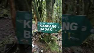 Pos Kandang Badak, Persimpangan Gunung Gede Pangrango #shorts