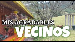 Mis agradables vecinos