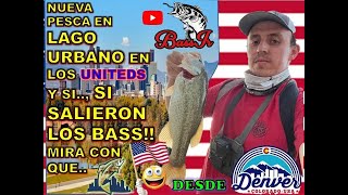 ¡¡PESCA URBANA EN EL EXTRANJERO🇺🇸!! ¡¡Descubrimos muchos PECES en este LAGO!!