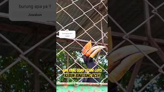 #hewanpopuler #binatang #kebun #burung #hits #ragunan #zoo #nanggroeacehdarussalam