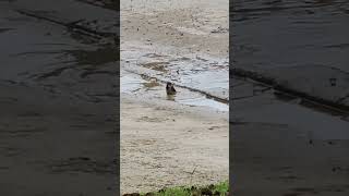 flagrante de banho na rua!