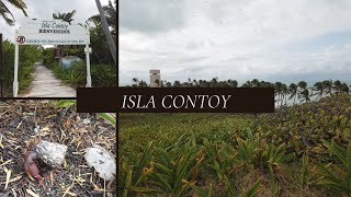 Isla Contoy | Isla Mujeres | Boat cruise | Walking tour