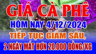 Giá cà phê hôm nay 4/12: tiếp tục giảm sâu, 2 ngày mất hơn 20.000 đồng/kg