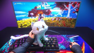 My cat tried to stop me from winning in Fortnite 🐱🏆