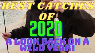 BEST CATCHES OF 2020! A LOOK BACK ON A WILD YEAR! Best Of Shimano & Abu Garcia Gear!