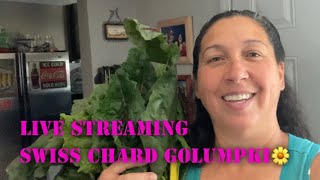 Live Streaming Swiss chard Golumpki