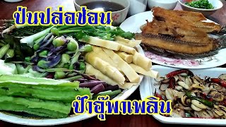 ป่นปลาช่อนทอด | อาหารอีสานบ้านๆ | อาหารอีสานพื้นบ้าน | ป้าอุ๊พาเพลิน