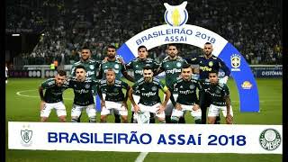 PALMEIRAS CAMPEÃO BRASILEIRO!