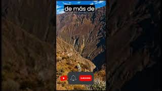 Explorando el Cañón del Colca: Aventura extrema y vuelo de cóndores.