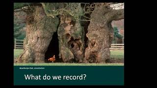 Ancient and Veteran Trees - Keith Knight talk at TWIC Autumn Conference 2021