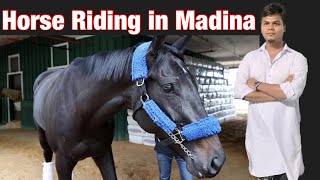 Car Riding formula1 | Horse Riding in Madina Saudi | Arabi Horses आज मजा आगया है  मदीने मै घूम कर |